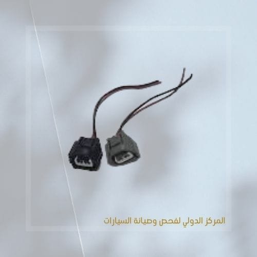 فيشة موبينة